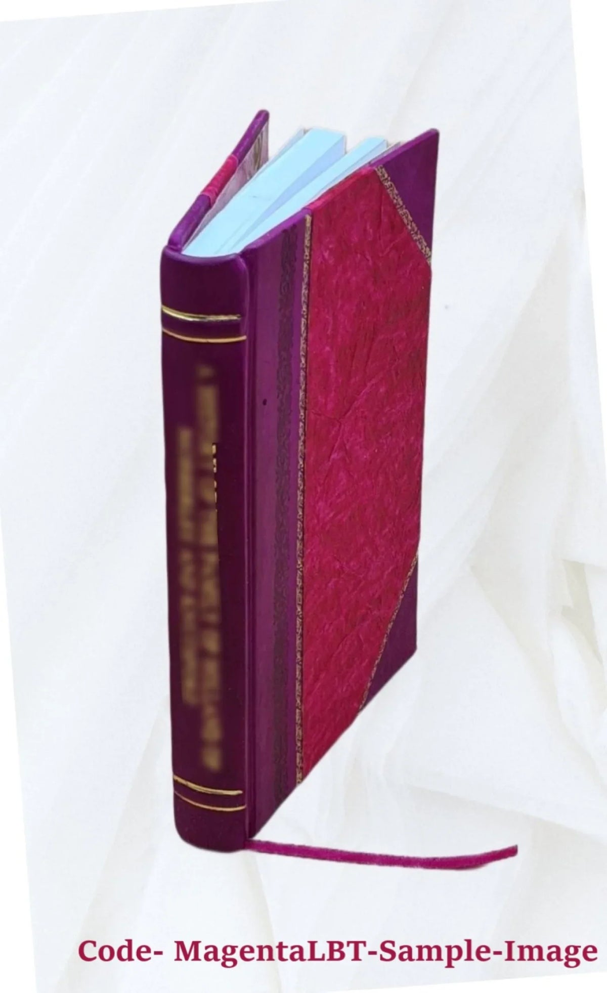 of St. June Bound] at Island, 25, Croix Monts' 1905 Tercentenary settlement 1904 [Leather De