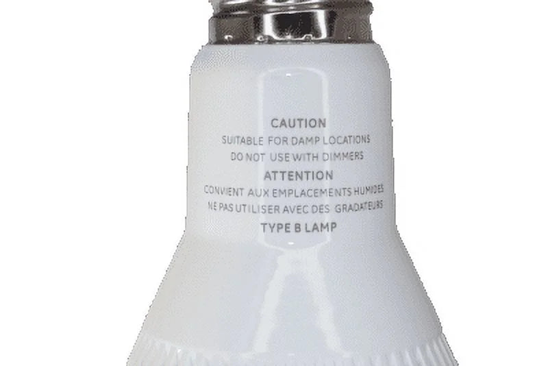Directional Replacement HID GE Flood LED270BT56/750 - Omni 50067 Bulb Light LED