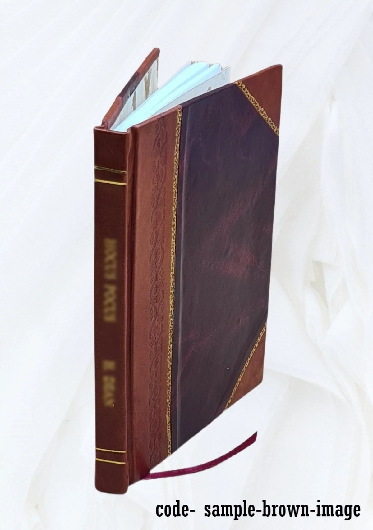 of St. June Bound] at Island, 25, Croix Monts' 1905 Tercentenary settlement 1904 [Leather De