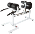 York Ham Developer STS Glute Machine